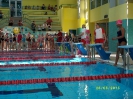 Mistrzostwa w pływaniu